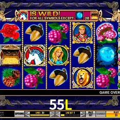 Fortune Tiger slot